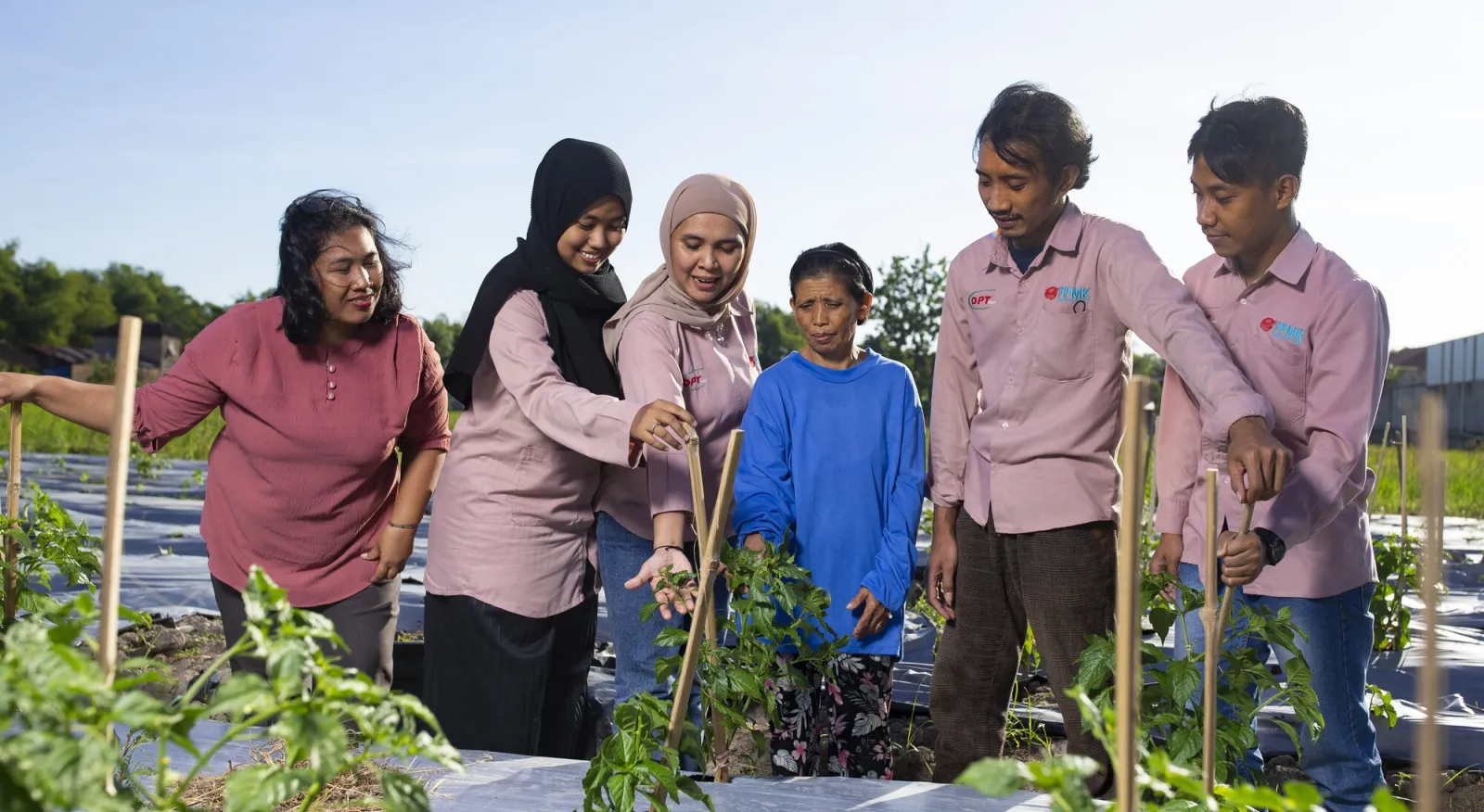 A group of six people dressed primarily in pink inspect a plant that they have grown